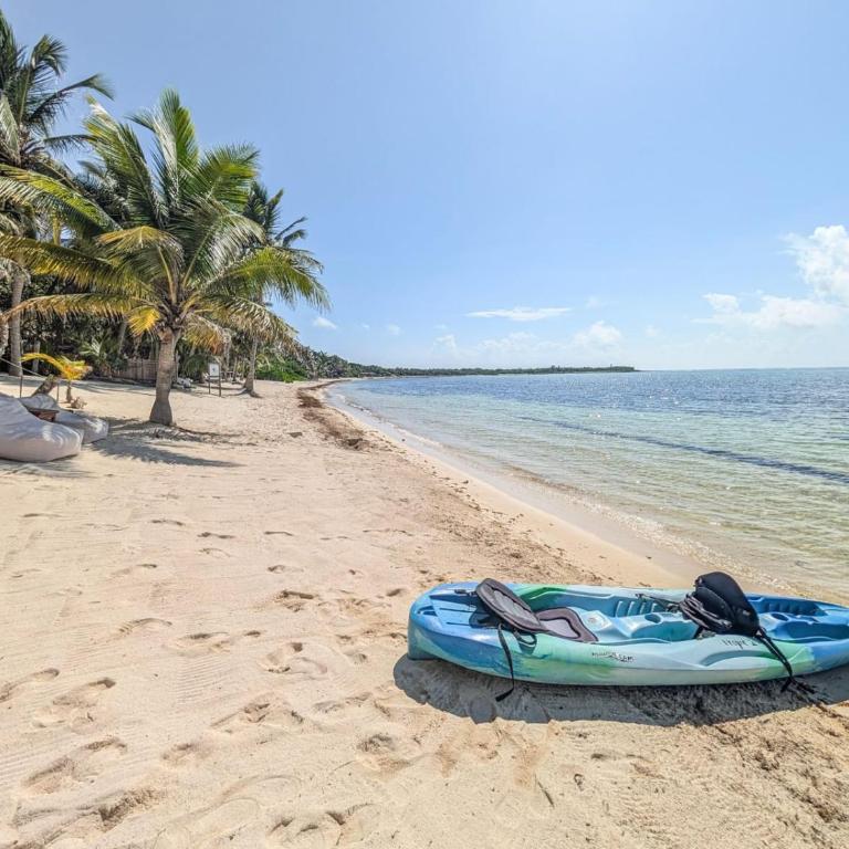 New 3BR Private Beachfront Villa with Pool at Soliman - Villa - 28