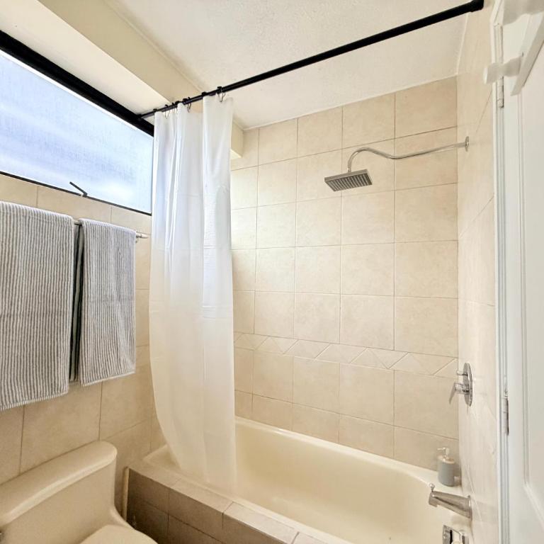 Stylish Spacious Suite near La Carolina Park - Quicentro Prime Location - One-Bedroom Apartment - 24