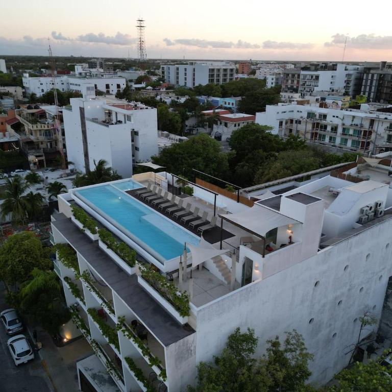 Seaview Roof Pool and Hammock 3 Blocks from Beach - Habitación Individual - 39
