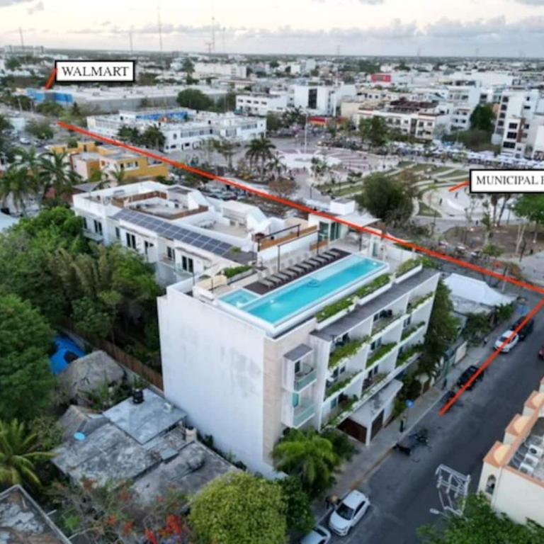 Seaview Roof Pool and Hammock 3 Blocks from Beach - Habitación Individual - 9