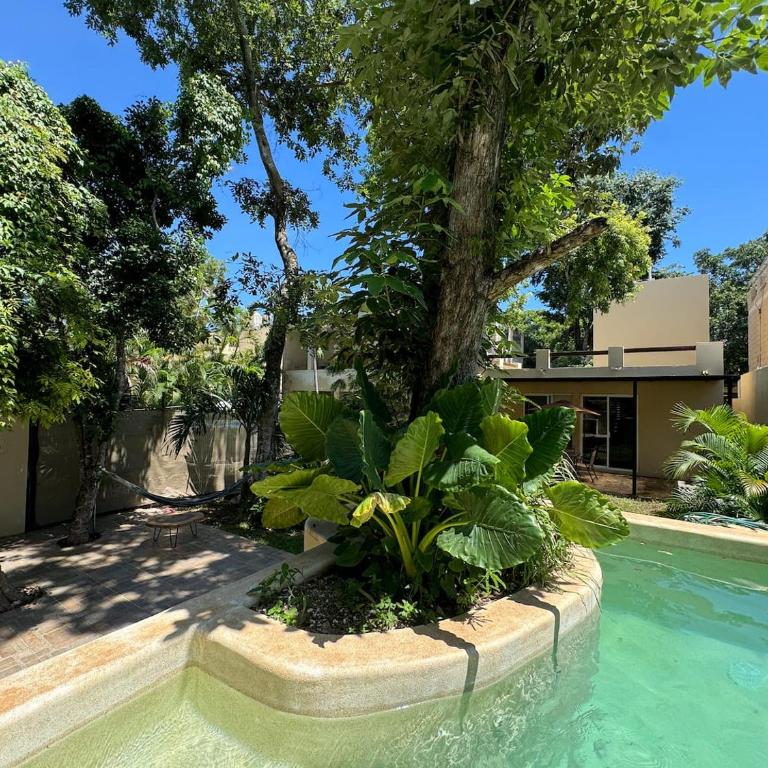Private Fresh Pool, Huge Garden, Xcalacoco Beach - Single Room - 38