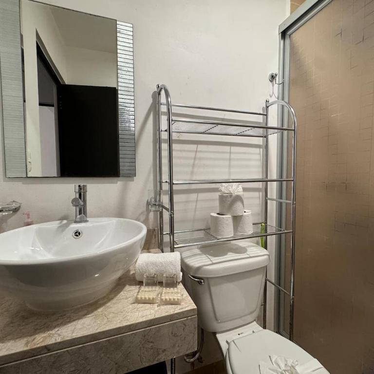 Cozy groundfloor apartment Great location WiF - Habitación Individual - 25