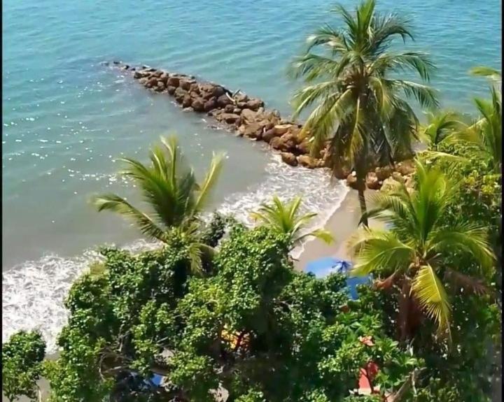Suite Premium Frente al Mar y Playa - Apartment with Sea View - 26