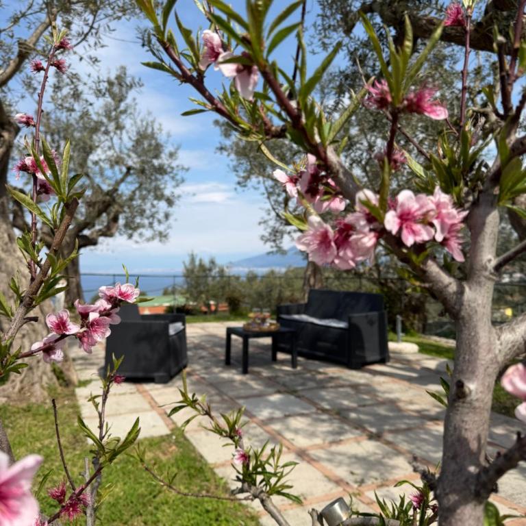 LOREN HOUSE, relaxing location with seaview - Casa con 2 Camere da Letto - 41