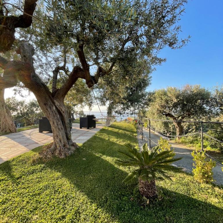 LOREN HOUSE, relaxing location with seaview - Casa con 2 Camere da Letto - 35