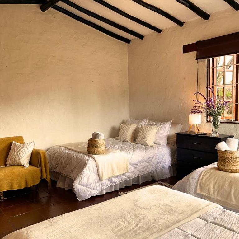 La Franchesca Hotel Boutique - Standard Family Room - 2