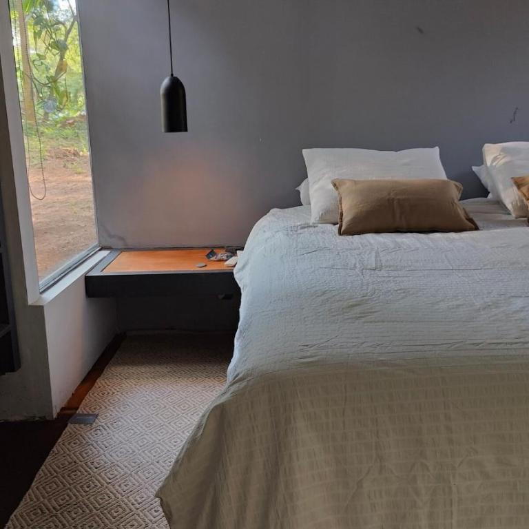 Terrario - One-Bedroom House - 2