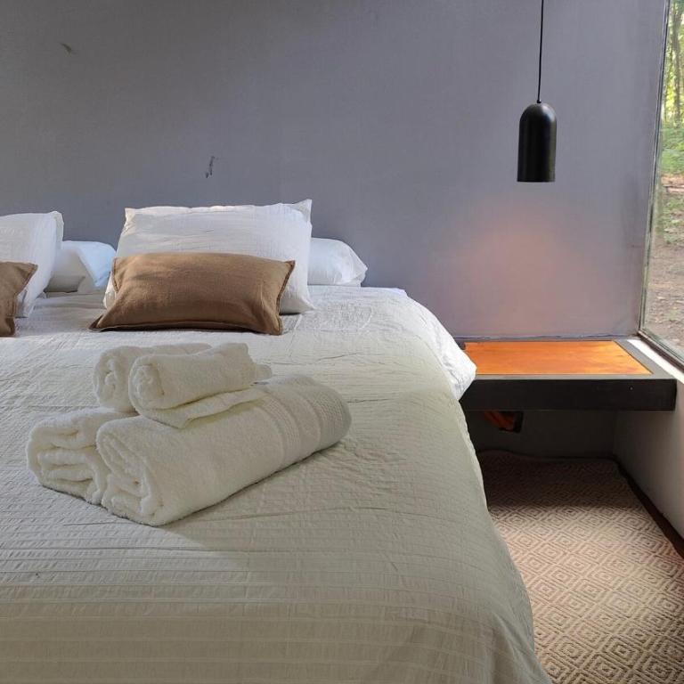Terrario - One-Bedroom House - 13