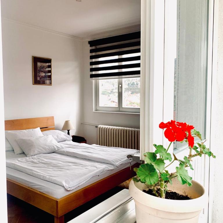 Apartments Dani Free Parking - Apartman sa 2 Spavaće Sobe i Pogledom na Grad - 12