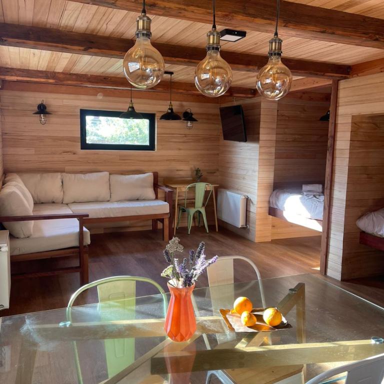 Tiny Under Chalet - One-Bedroom Apartment with Garden View - 13