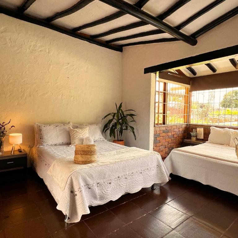 La Franchesca Hotel Boutique - Standard Family Room - 5