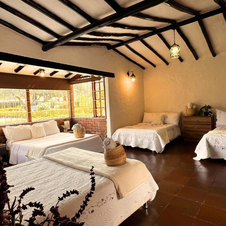 La Franchesca Hotel Boutique - Standard Family Room - 6