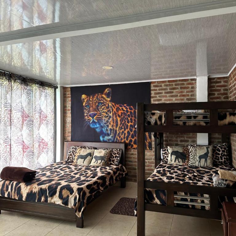 Casa Africa - Four-Bedroom House - 7