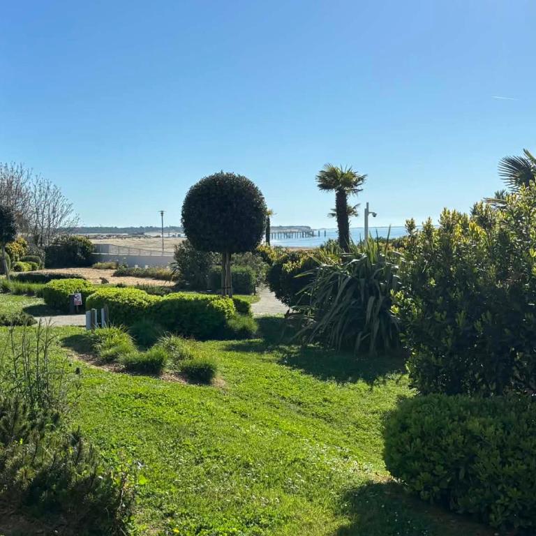 Appartement PMR 2 Chambres, Face Plage, Piscine, Balcon, Pour 6 Personnes, Animaux Admis - FR-1-194-222 - Apartamento (6 adultos) - 23
