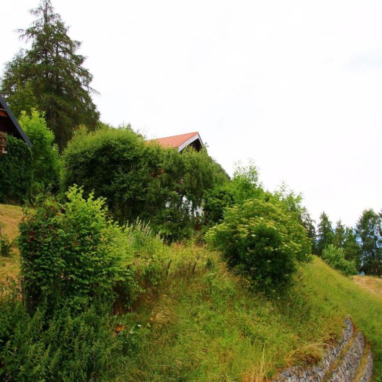 Apartments with Enchanting hill view - Appartamento con 1 Camera da Letto - 13
