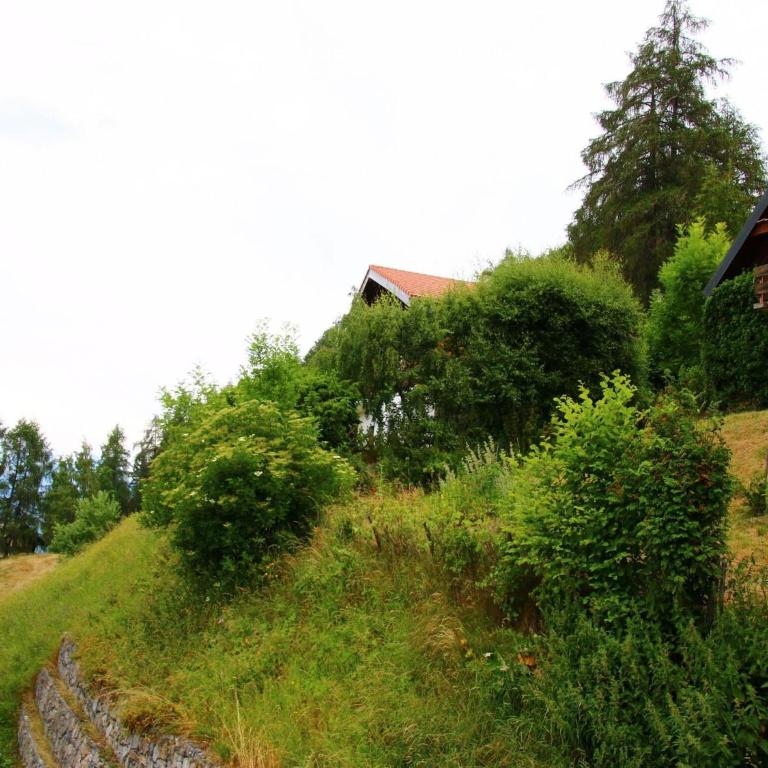 Apartments with Enchanting hill view - Appartamento con 1 Camera da Letto - 9