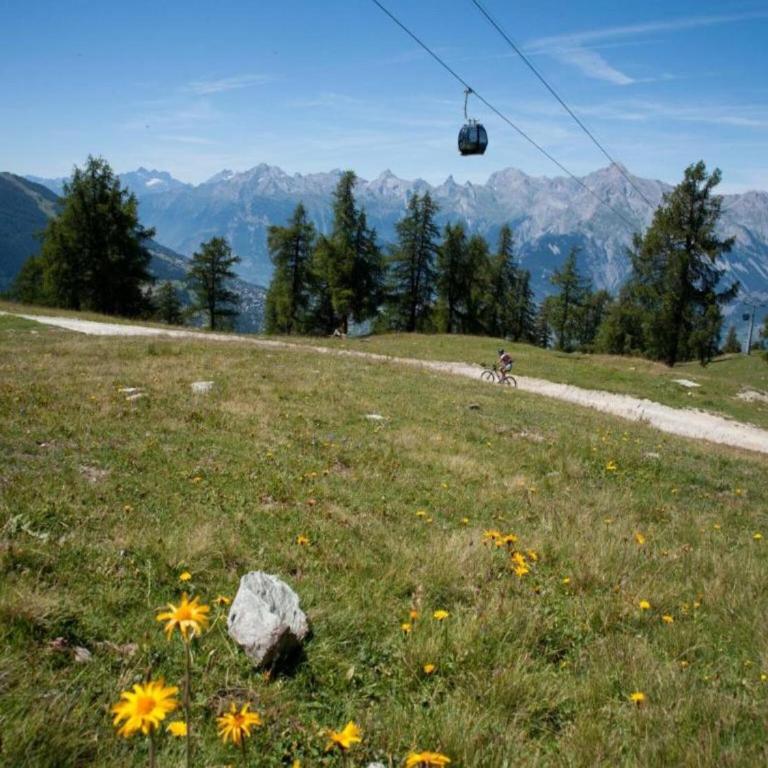 Apartment with balcony views of Nendaz - Appartement 1 Chambre - 15