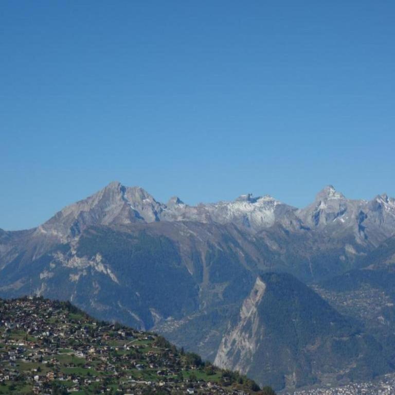 Apartment with balcony views of Nendaz - Appartement 1 Chambre - 30