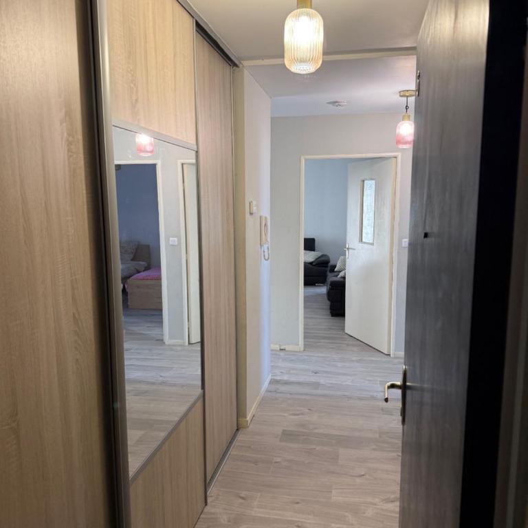 Appart Orleans Gare - Two-Bedroom Apartment with Balcony and Terrace - 3