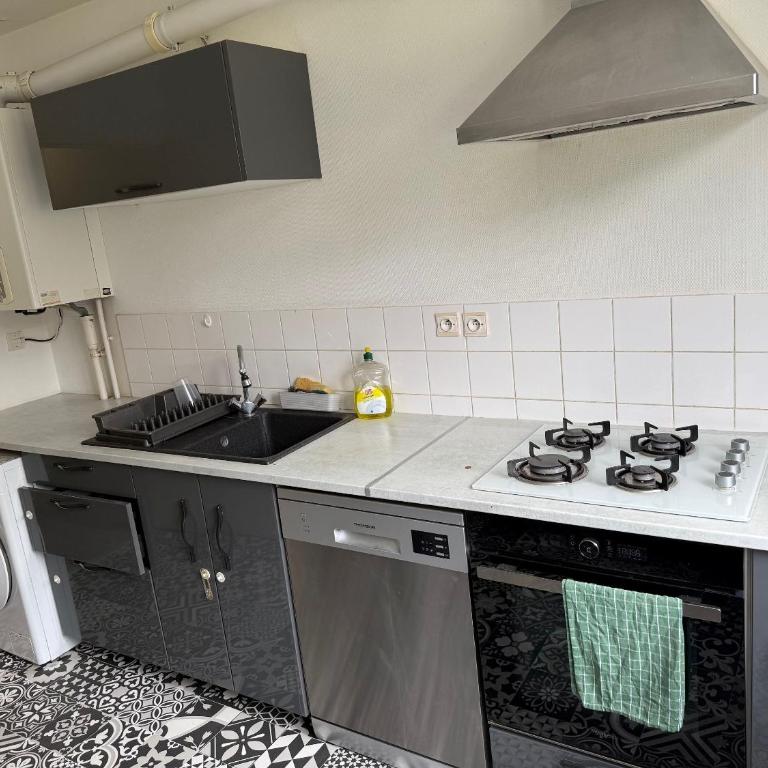 Appart Orleans Gare - Two-Bedroom Apartment with Balcony and Terrace - 19