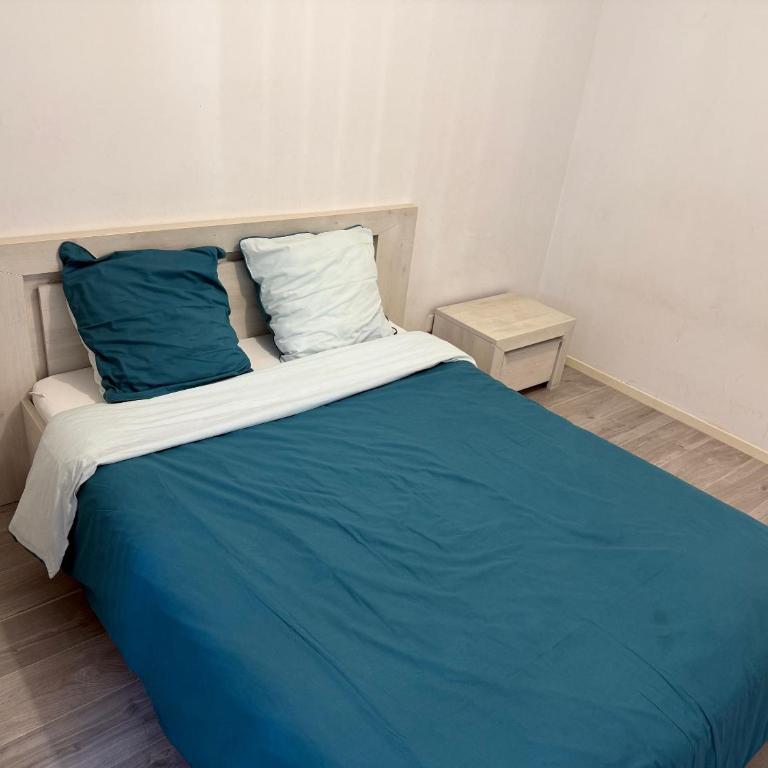 Appart Orleans Gare - Two-Bedroom Apartment with Balcony and Terrace - 21