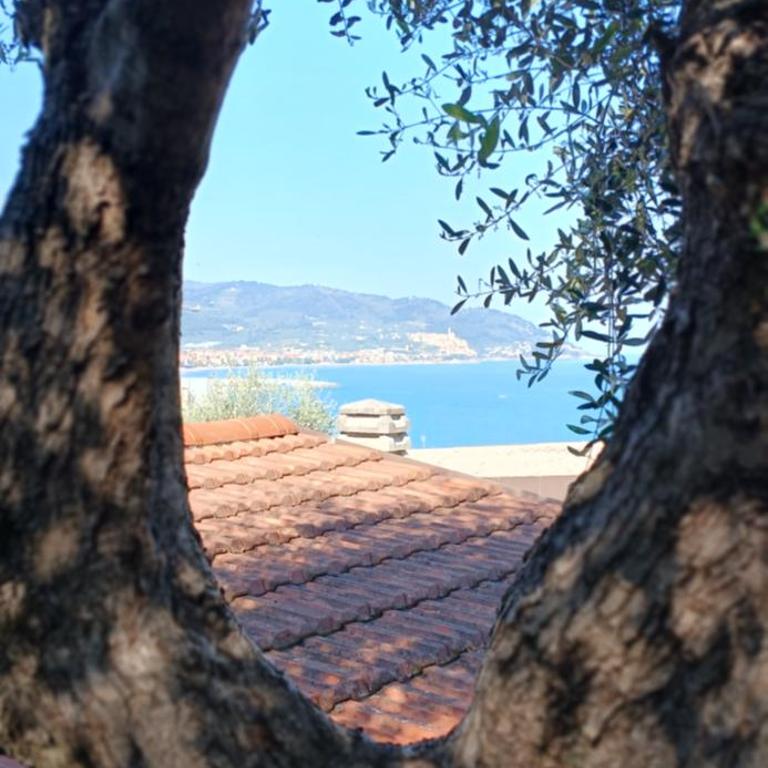 Haus MIZZL - Appartamento con 1 Camera da Letto - 5
