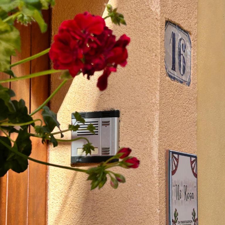 Casa Vacanza Nì Rosa - Casa con 3 Camere da Letto - 4
