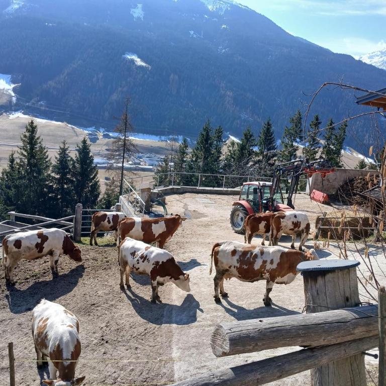 Chalet in Mittersill near Ski Slopes - Ferienhaus mit 4 Zimmern - 36