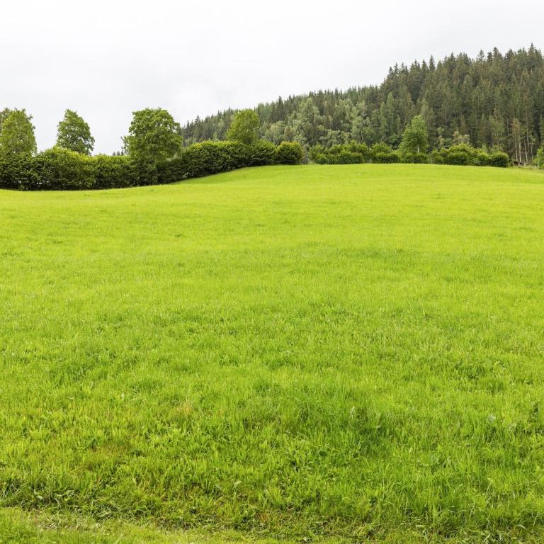 Chalet in Mittersill near Ski Slopes - Ferienhaus mit 4 Zimmern - 22