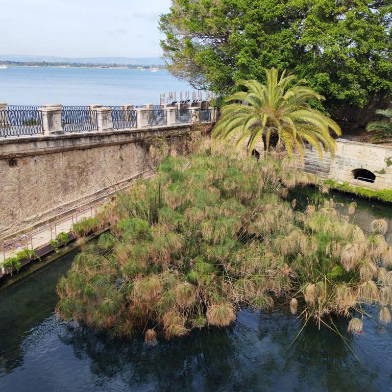 Terrazza su Ortigia Confort Maison - Appartamento con 1 Camera da Letto - 40