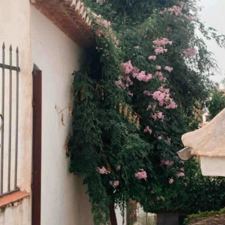 Casa con preciosas vistas a 4 min Alhambra y centro de Granada - Four-Bedroom House - 29