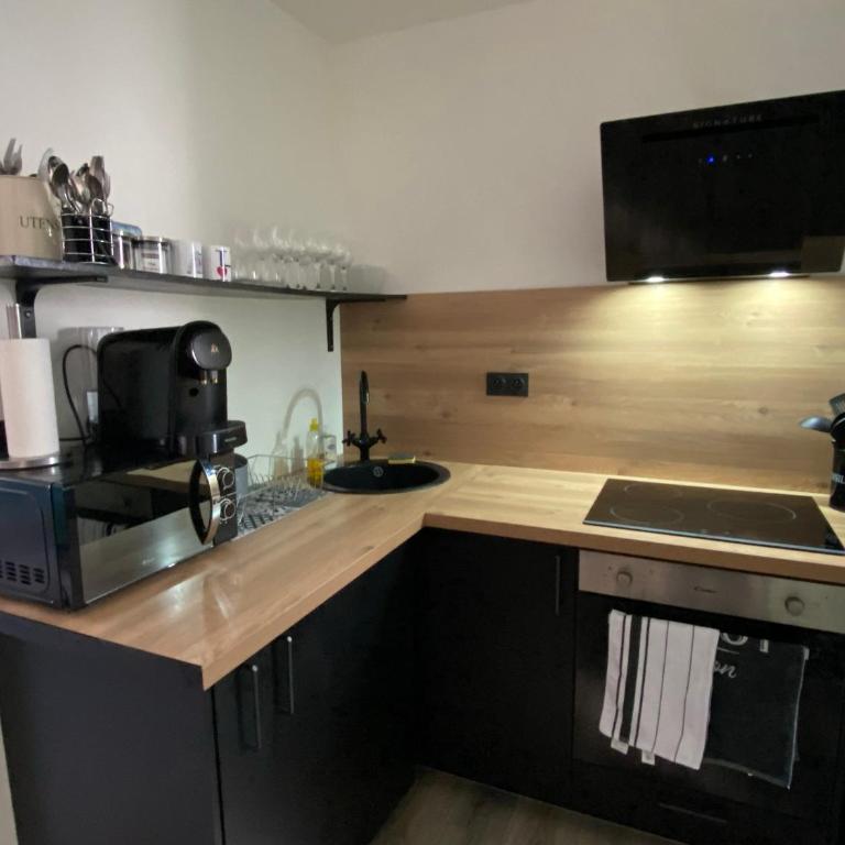 Vert Hote - Appartement 1 Chambre - 2