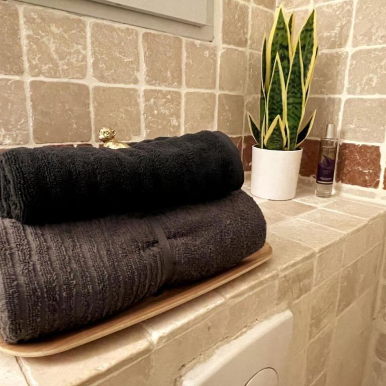 Bright Nîmes Center Flat with Terrace - Appartamento - 14