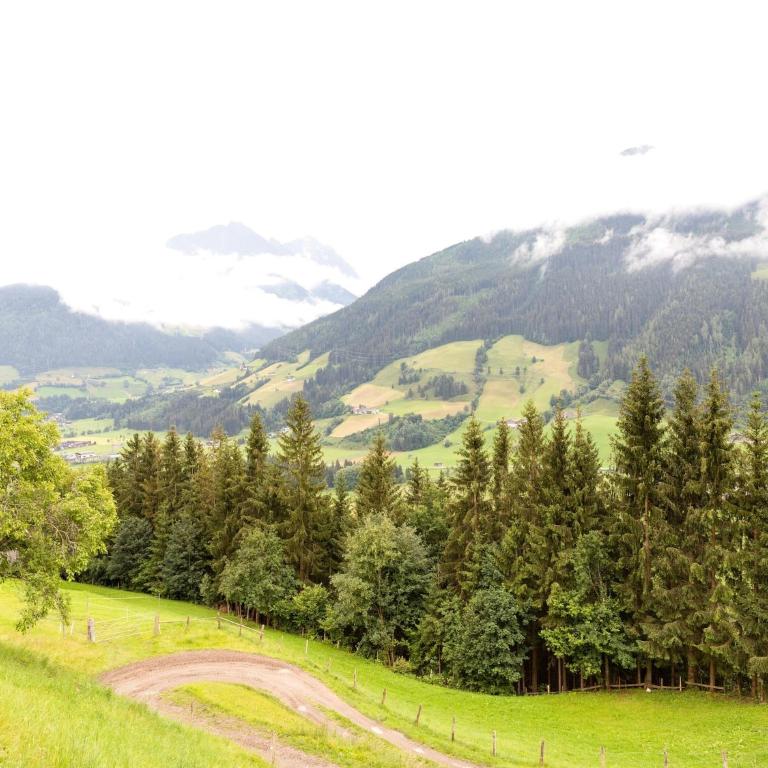 Chalet in Mittersill near Ski Slopes - Apartment mit 2 Schlafzimmern - 32