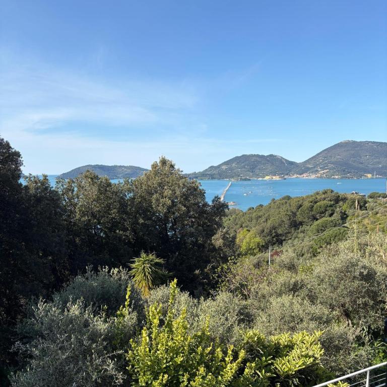 il rifugio sul golfo dei poeti - Appartamento con 1 Camera da Letto - 25