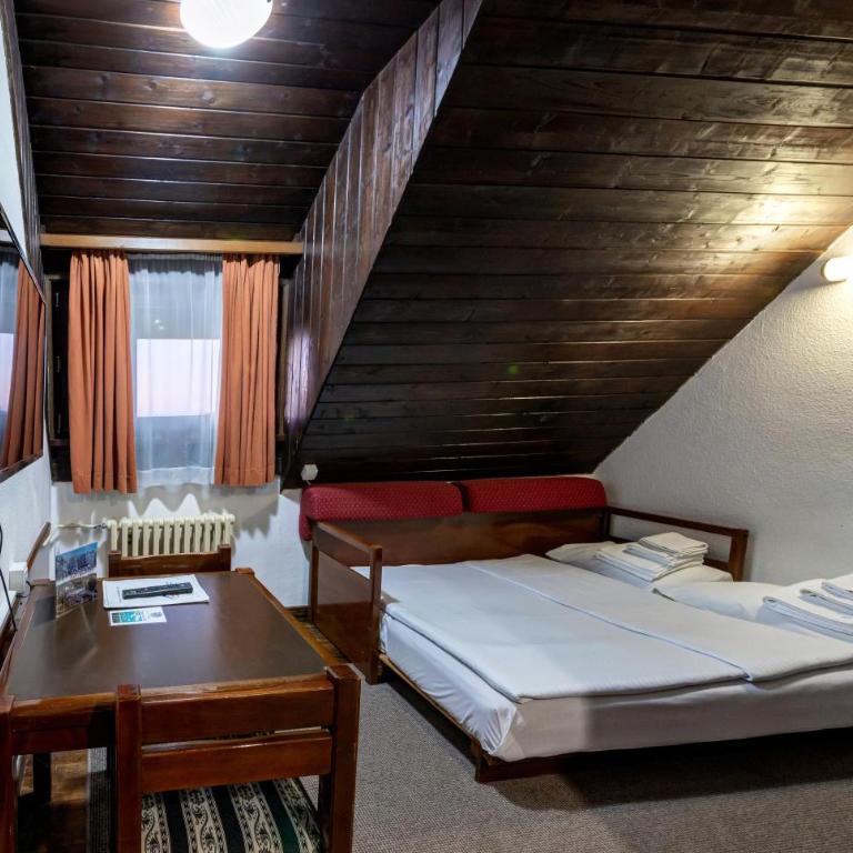 Apartments JAT Kopaonik - Studio with Sofa Bed - 2