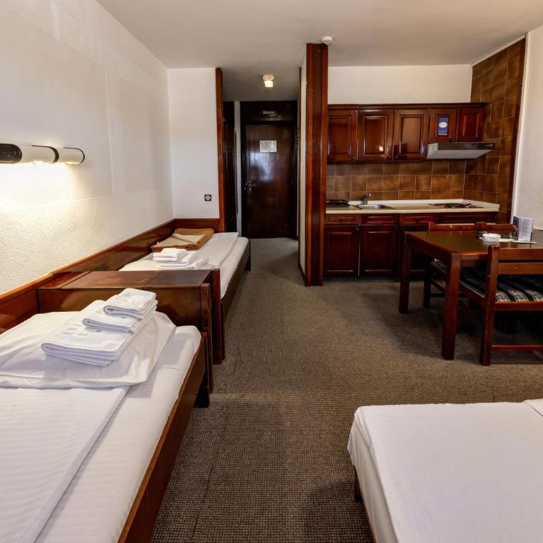 Apartments JAT Kopaonik - Studio with Sofa Bed - 3