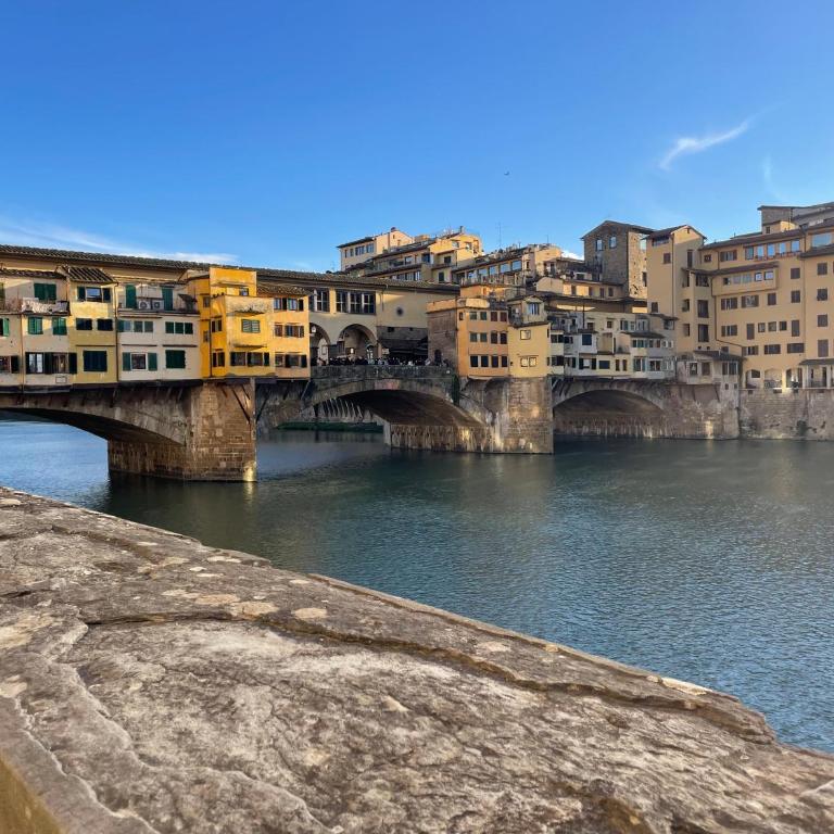 Speziali Apartment in the heart of Florence - One-Bedroom Apartment - 28