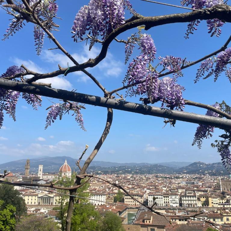 Speziali Apartment in the heart of Florence - One-Bedroom Apartment - 30