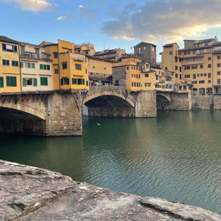 Speziali Apartment in the heart of Florence - One-Bedroom Apartment - 29