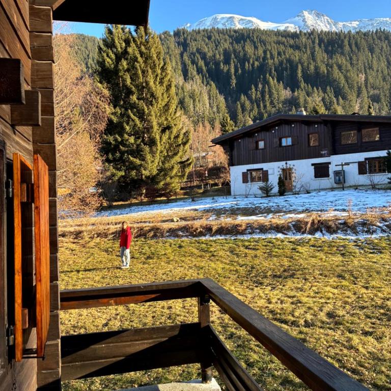 Chalet familial alpin tout en bois - Chalet 3 Chambres - 6