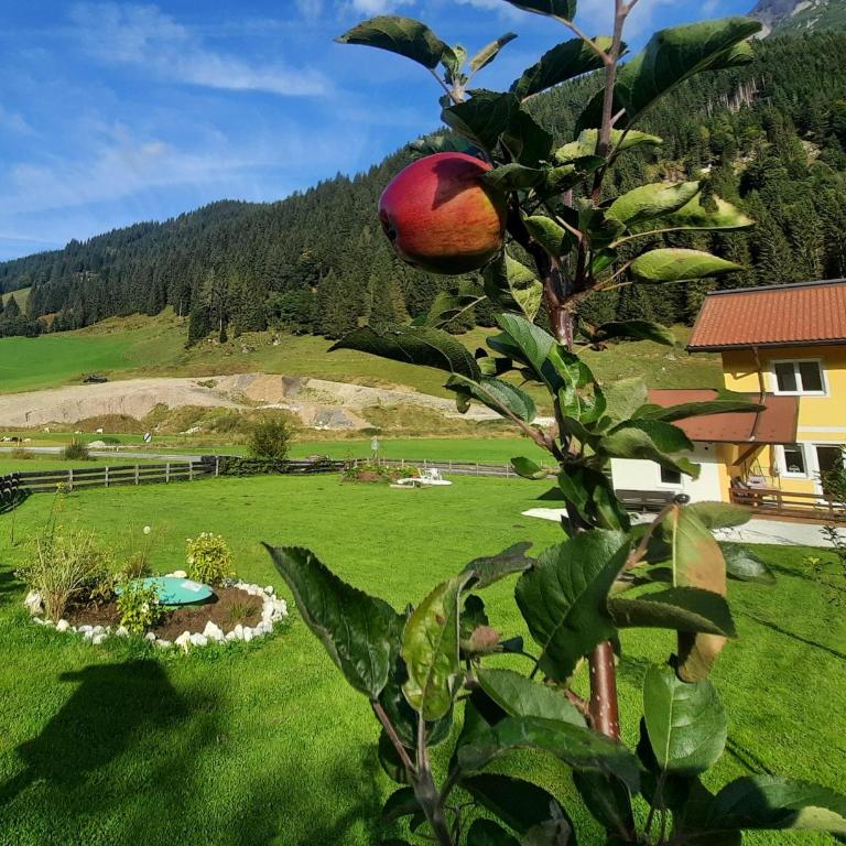 Ferienhaus Saghäusl - Appartement 2 Chambres avec Douche - 5