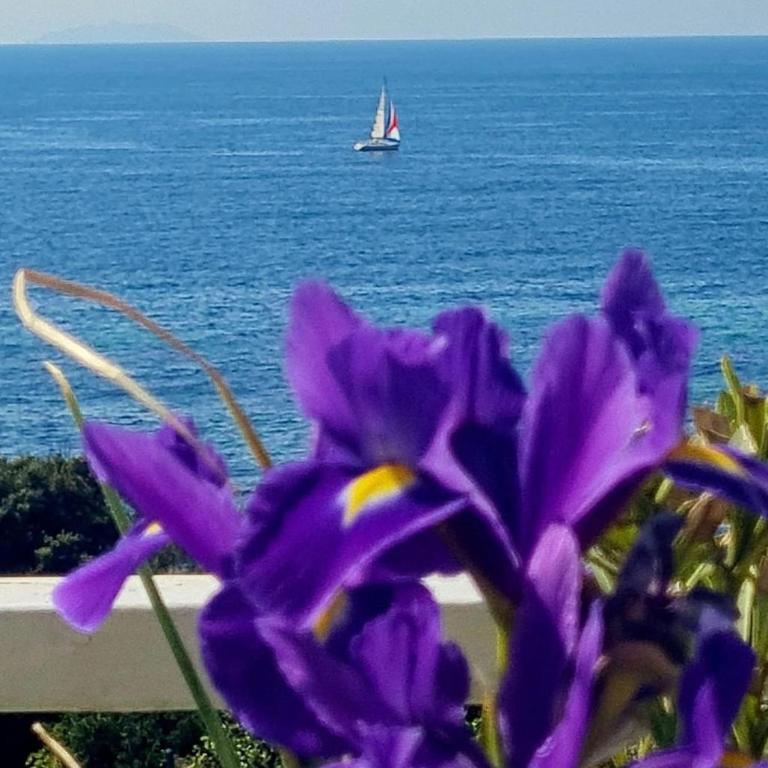 La casa del Faro - Appartamento con 1 Camera da Letto - 47