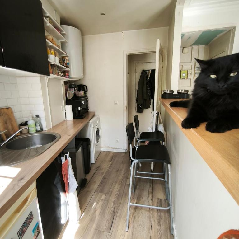 Appartement T2 Lumineux, Paris 18e, Goutte d'Or - Appartamento con 1 Camera da Letto - 12