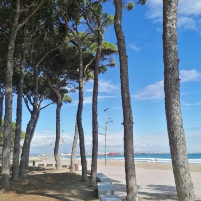 Apartamento a pie de playa en La Pineda - One-Bedroom Apartment - 22