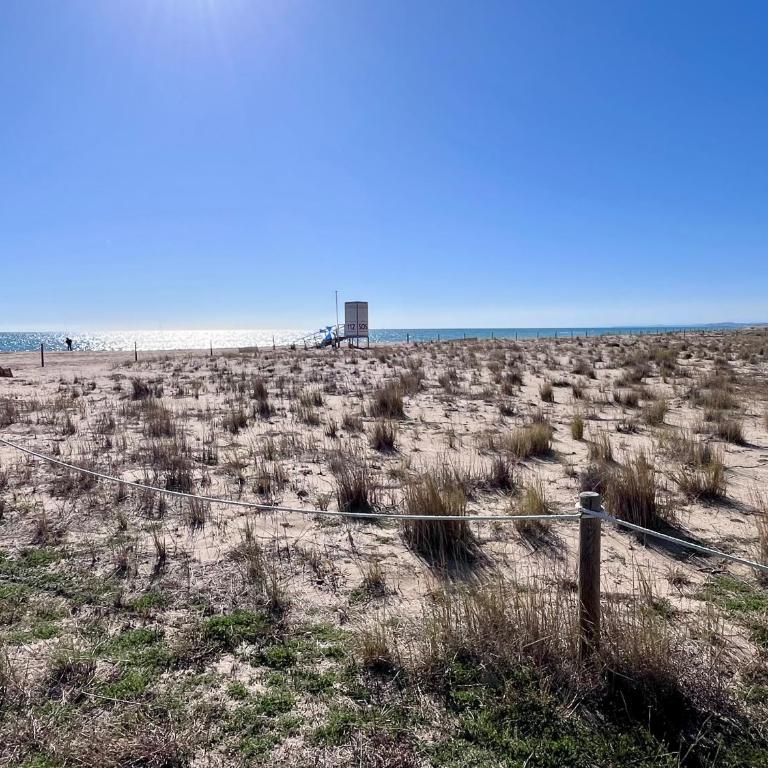 Bertur Rodes - Apartamento de 3 dormitorios con vistas al mar - 28