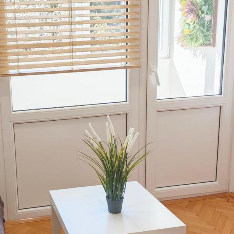 Apartman Čokić 2 - Apartman sa 1 Spavaćom Sobom - 1