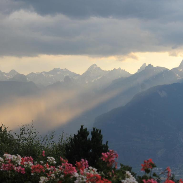 Panoramachalet - Apartment mit Blick auf die Berge - 28