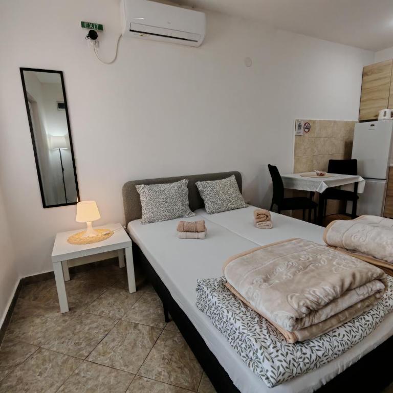 A1 - Airport Belgrade Apartment - Economy Dvokrevetna Soba sa Bračnim Krevetom - 16