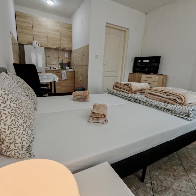 A1 - Airport Belgrade Apartment - Economy Dvokrevetna Soba sa Bračnim Krevetom - 13